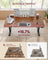Electric Standing Desk - 160 x 70 - Steel - Height Adjustable