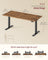Electric Standing Desk - 160 x 70 - Steel - Height Adjustable