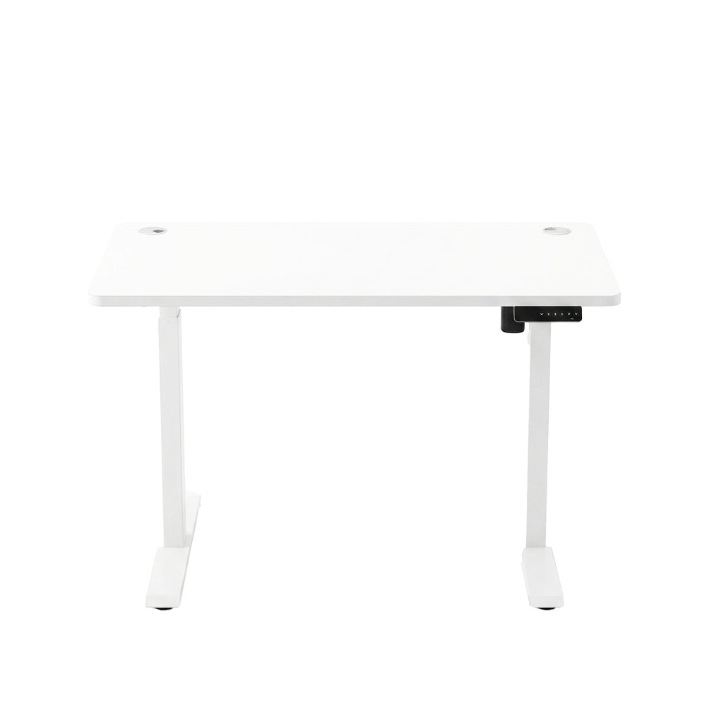 Electric Standing Desk - 120L - Steel - Height Adjustable