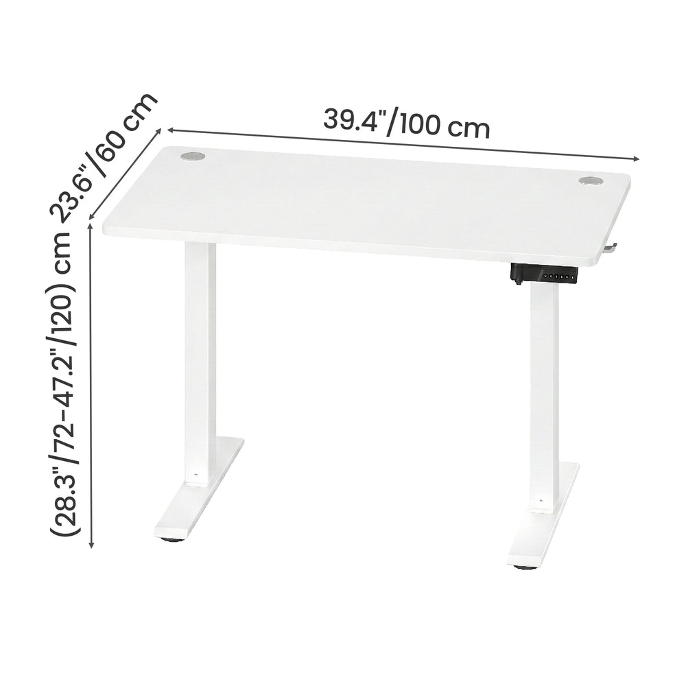 Electric Standing Desk - 120L - Steel - Height Adjustable