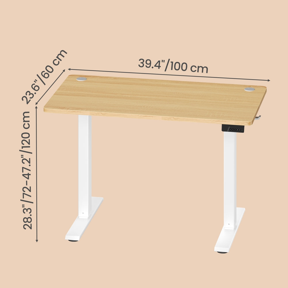 Electric Standing Desk - 120L - Steel - Height Adjustable