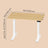 Electric Standing Desk - 120L - Steel - Height Adjustable