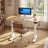 Electric Standing Desk - 120L - Steel - Height Adjustable