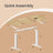 Electric Standing Desk - 120L - Steel - Height Adjustable
