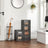 Stackable Shoe Storage Boxes - Set of 6 with Clear Doors - Plastic - Ink Black