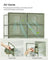 Stackable Shoe Boxes - Plastic - Transparent - Foldable and Versatile