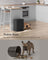 20L Kitchen Bin - Steel - Ink Black - Soft-Close Lid and Wide Non-Slip Pedal