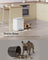 20L Kitchen Bin - Steel - Cloud White - Soft-Close Lid and Wide Non-Slip Pedal