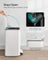 20L Kitchen Bin - Steel - Cloud White - Soft-Close Lid and Wide Non-Slip Pedal