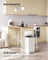 Kitchen Bin - Steel - Metallic Silver - 30 L Soft-Close Lid with Wide Non-Slip Pedal