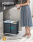 Kitchen Bin - Steel Frame - Ink Black - Built-in with Double Compartments and Smooth Pull-Out Design