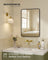 Bathroom Mirror - Tempered Glass and Aluminium Alloy - Ink Black