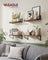 Set of 2 Floating Wall Shelves - Wood - Rustic Brown - Dual Mounting Options