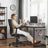 Mid-back Office Chair - Mesh - Black - Swivel with Adjustable Lumbar Support and Armrests