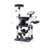 Cat Tree - Wood - Multi-level
