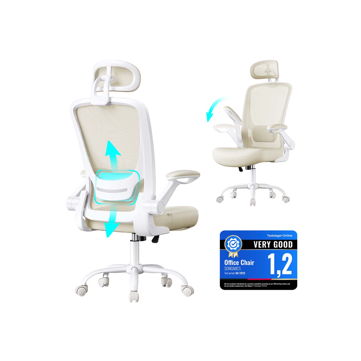 Ergonomic Office Chair - Mesh - Black - Adjustable Lumbar Support