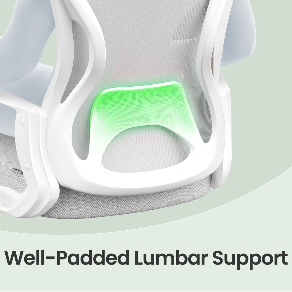 Ergonomic Office Chair - 23.6" x 23.6" - Steel - Lumbar Support