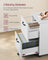 Mobile File Cabinet - Rolling with 2 Drawers - Wood - Rustic Brown and Black
