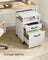 File Cabinet - Steel - Cloud White - 2 Drawers with Open Compartment and Wheels