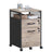 Mobile Filing Cabinet, 2 Drawers - Steel - Greige and Black