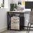 Mobile Filing Cabinet, 2 Drawers - Steel - Greige and Black