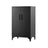 Multipurpose Steel File Cabinet - Steel - Ink Black - Lockable with Shelves