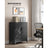Multipurpose Cabinet - Steel - Black - Lockable with Shelves