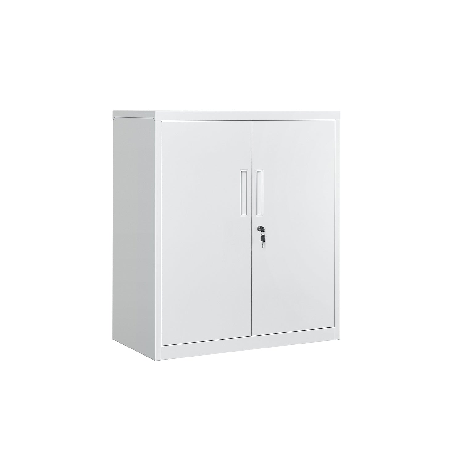 Multipurpose Cabinet - Steel - Black - Lockable with Shelves