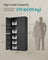 File Cabinet - Steel - Black - Lockable with Shelves