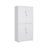 Metal Storage Cabinet - Steel - Black - Lockable with Shelves