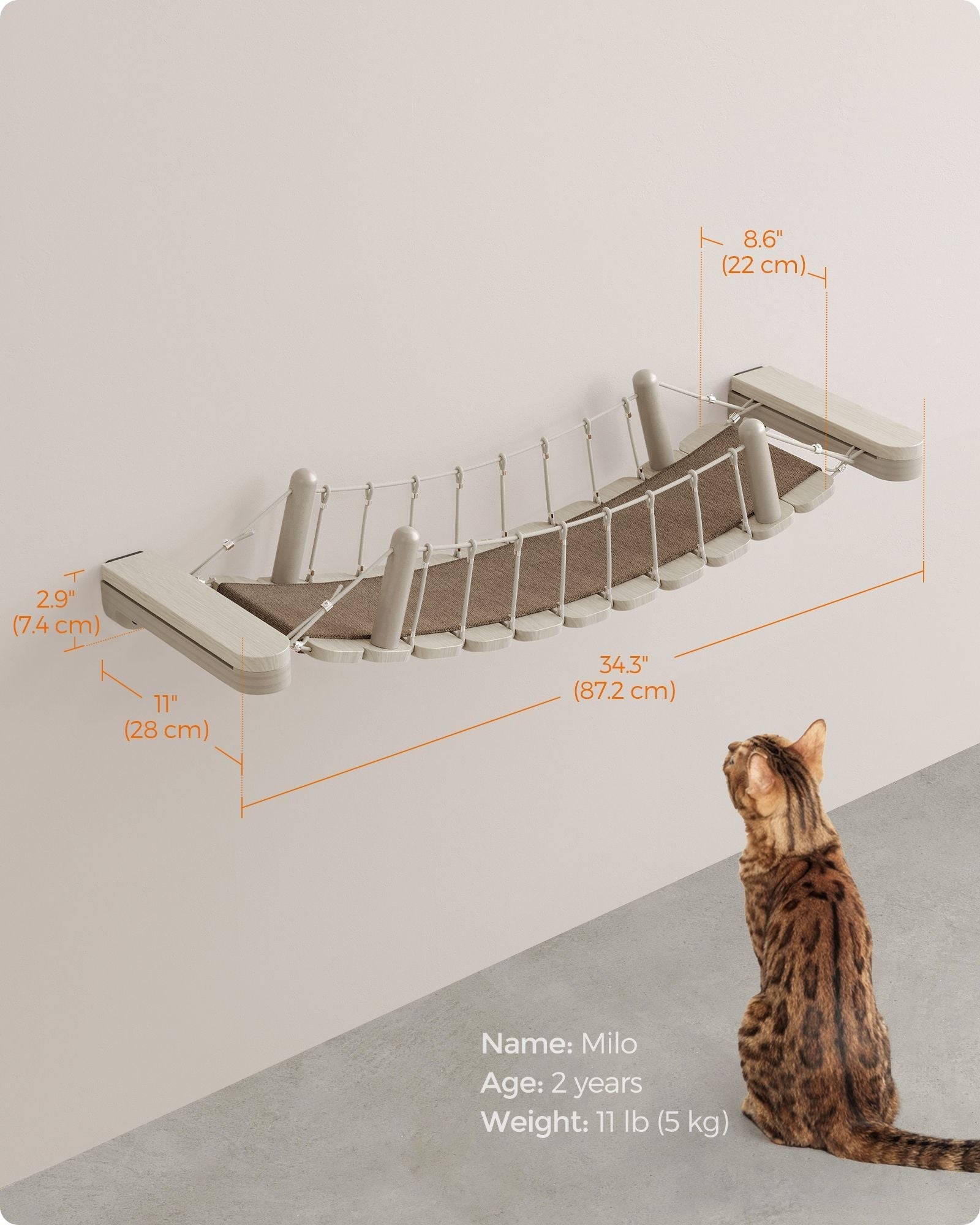 Wall-Mounted Cat Bridge - Wood - Natural