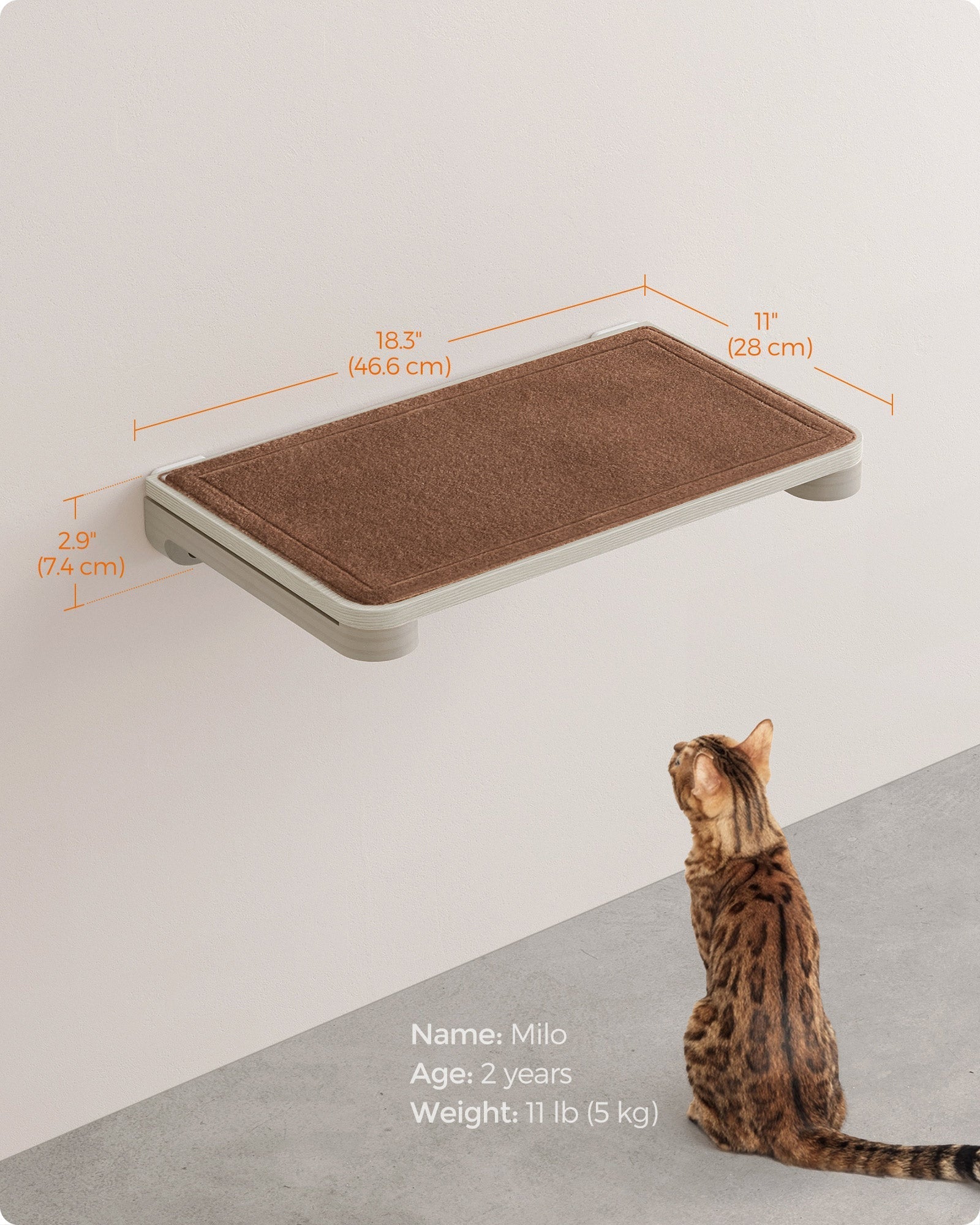 Wall-Mounted Cat Shelf - Engineered Wood - Natural Finish - Comfortable Felt Pad