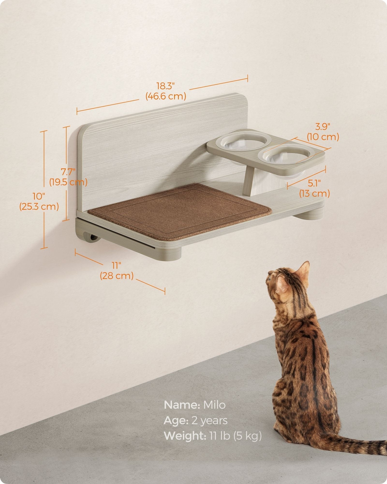 Wall-Mounted Cat Food Station - Wood - Natural Finish - Elevated Bowls Design