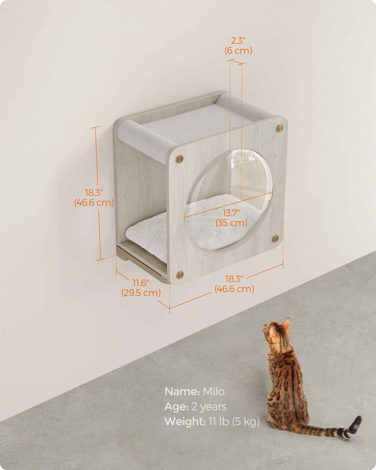 Wall-Mounted Cat Cave - Wood - Natural - Features Observation Window