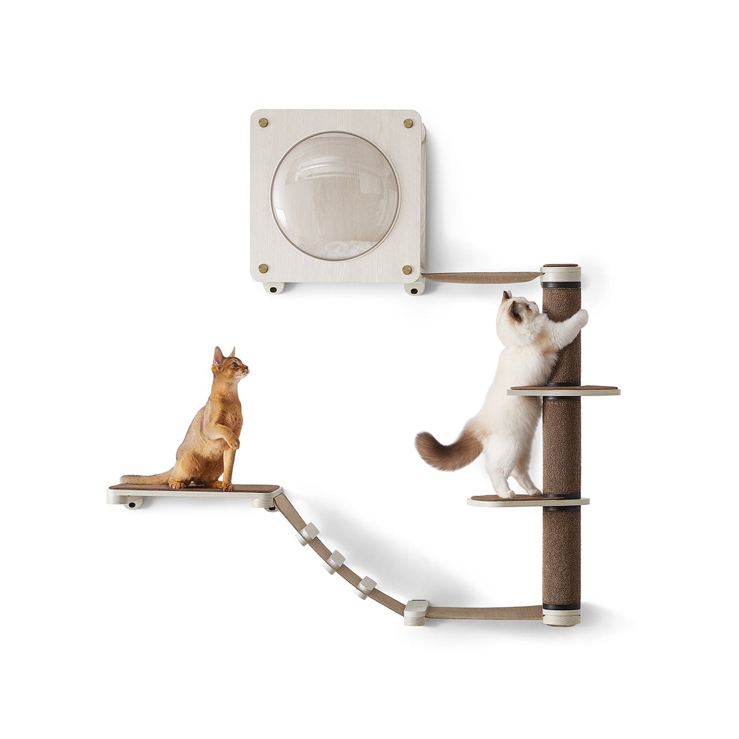 Cat Wall Furniture Set - Includes 5 Pieces - Engineered Wood - Natural Finish