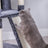 Cat Tree - XXL 168 cm Cat Condo - Plywood - Smoky Gray
