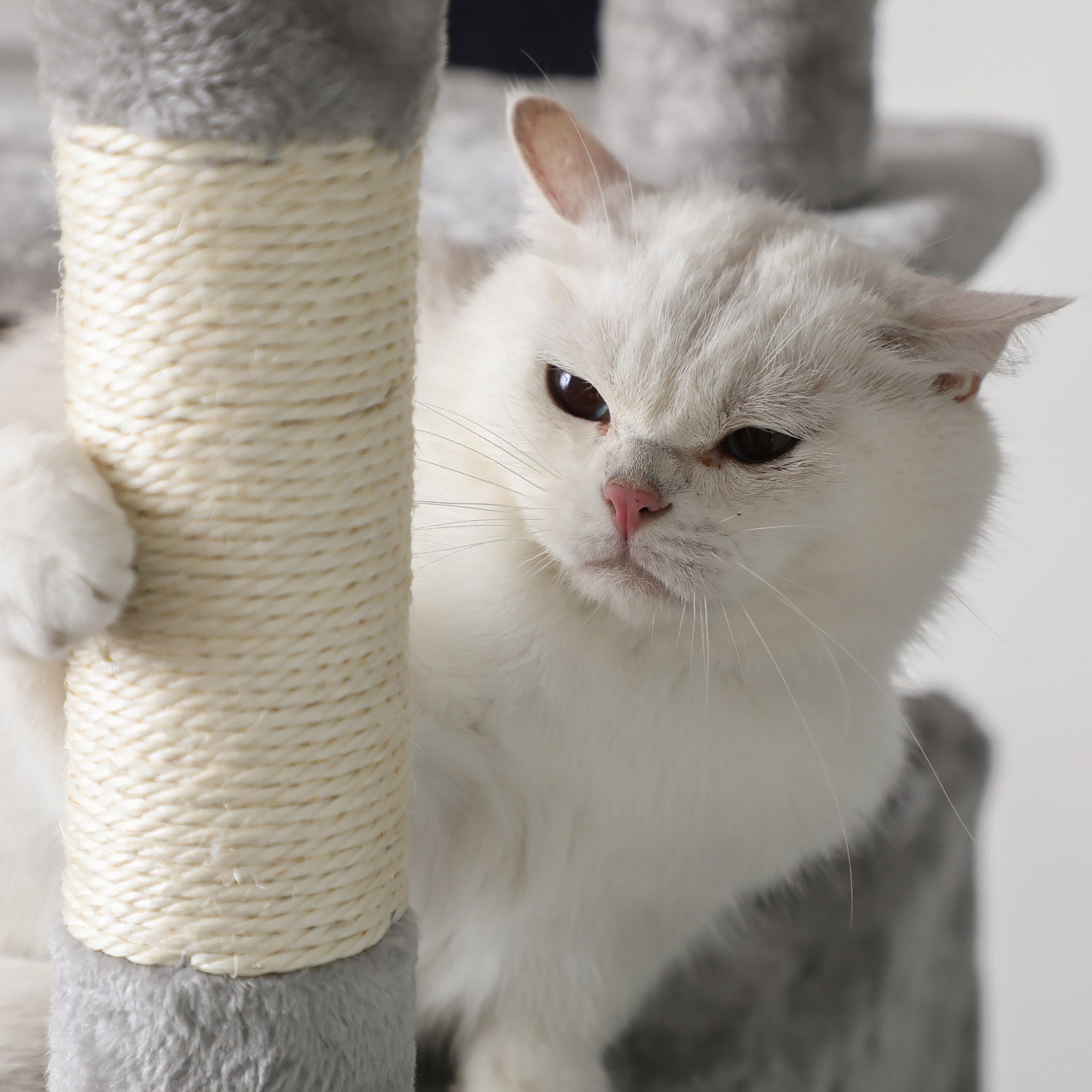 Cat Tree - XXL Design 168 cm - Wood - Light Grey
