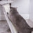 Cat Tree - XXL Design 168 cm - Wood - Light Grey