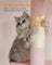 Cat Tree - Engineered Wood - Jelly Pink - Includes Scratching Posts and Cat Caves