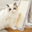 Small Cat Tree - 66 cm with Hammock - Light Brown - PCT Material