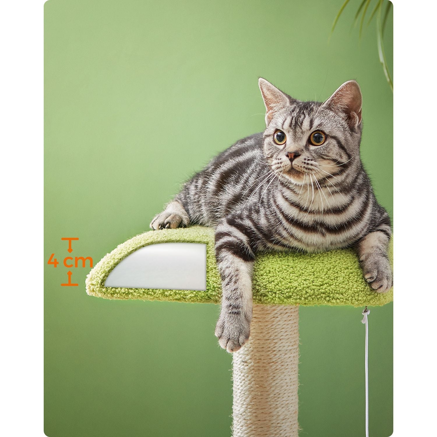 Cat Tree House - Wood - Spring Green - Includes Scratching Post and Padded Perch