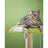 Cat Tree House - Wood - Spring Green - Includes Scratching Post and Padded Perch