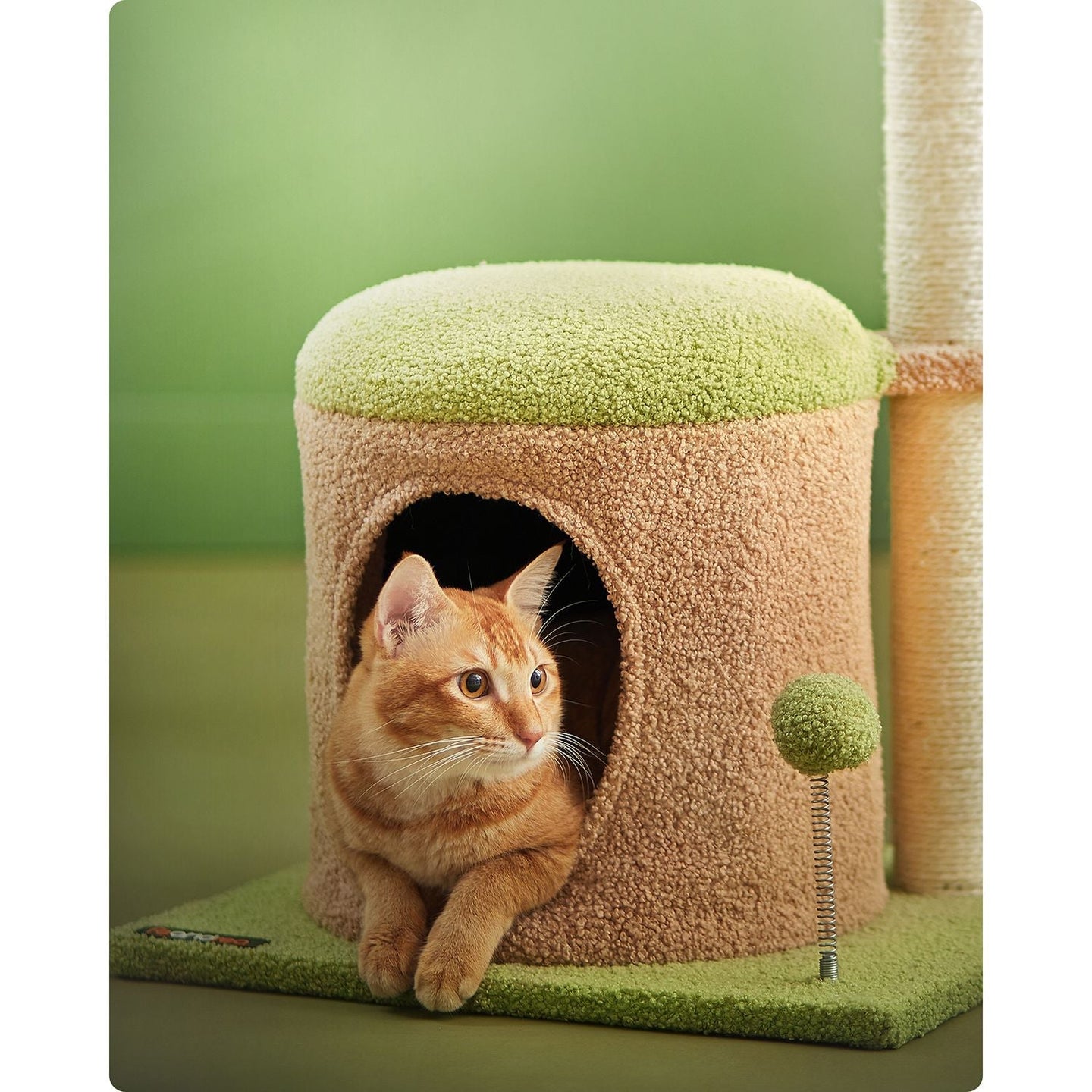 Cat Tree House - Wood - Spring Green - Includes Scratching Post and Padded Perch