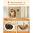 Cat Tree - Engineered Wood - Light Grey - 206 cm with 13 Scratching Posts