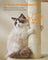 Cat Tree - Wood - Beige - Tall with Scratching Posts and Condos