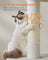 Cat Tree - Engineered Wood - Cream White - Features Cat Caves and Sisal-Covered Scratching Posts
