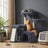 Multi-Level Cat Tree - 94L - Particleboard - Beds & Scratching Posts