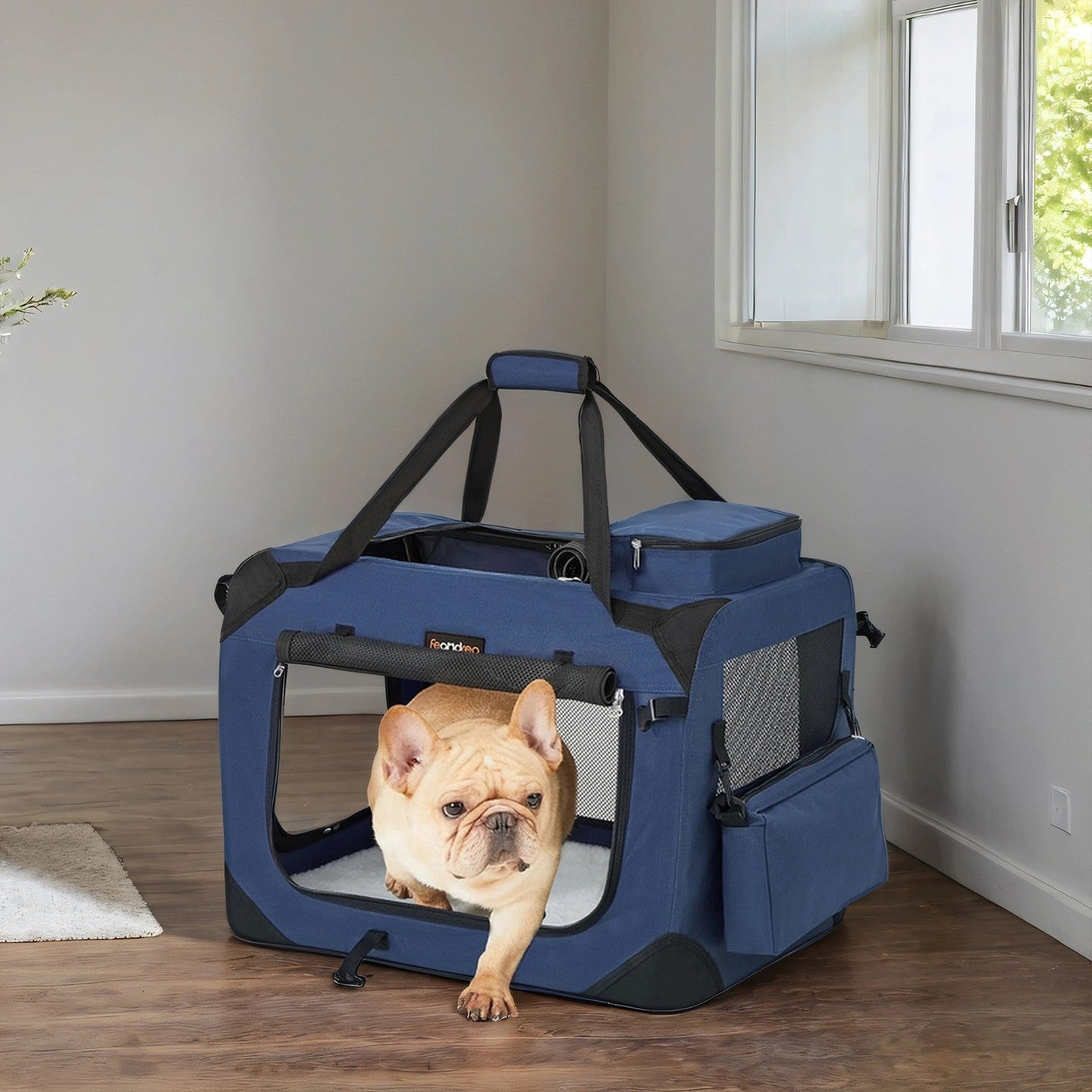 Collapsible Dog Crate - Fabric - Black - Lightweight and Portable