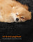 Dog Bed - Ink Black - Plush