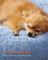 Dog Bed - 60 cm Diameter - Pale Blue - Soft Plush